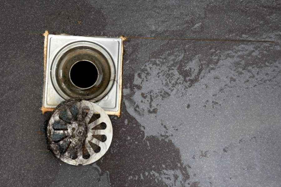 Une grille de bonde de douche ouverte sur le côté révèle des amas de cheveux et des résidus accumulés à l'origine des mauvaises odeurs de canalisation.